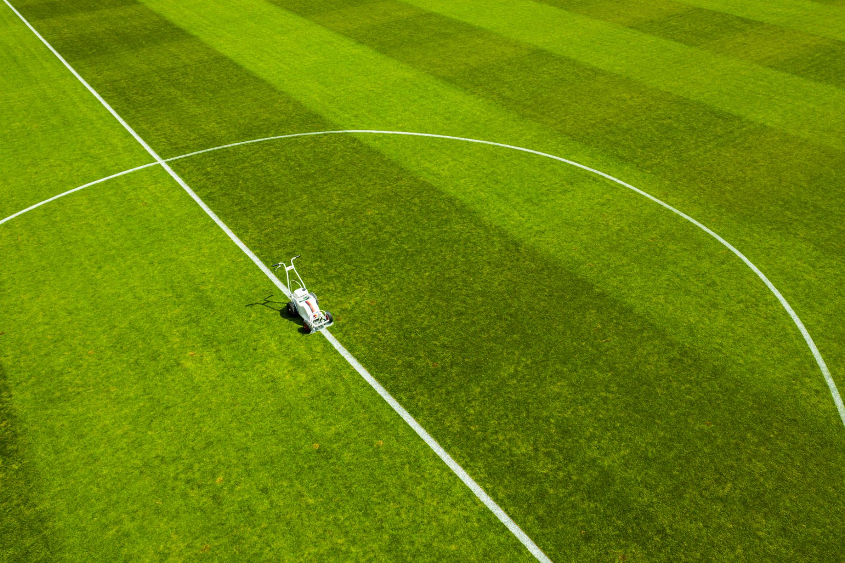 Sportplatzmarkierung auf grünem Rasen